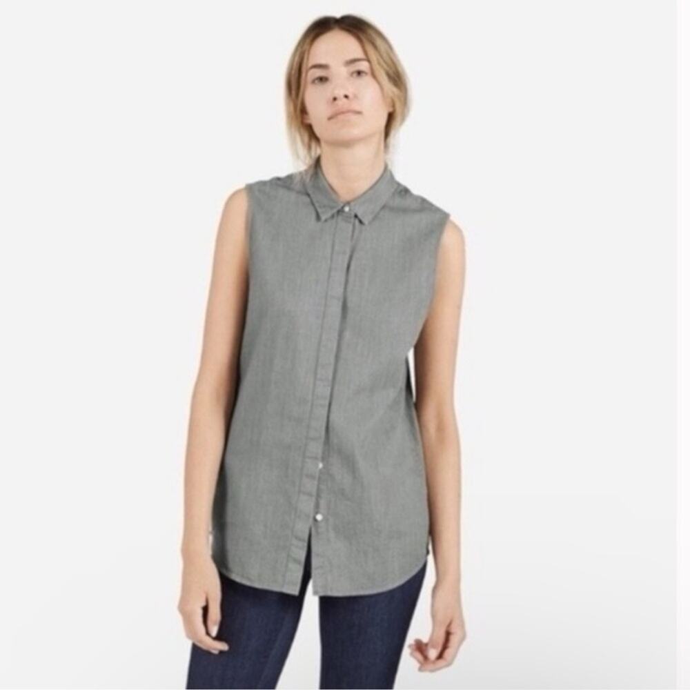 Everlane Gray Sleeveless Button Down Shirt